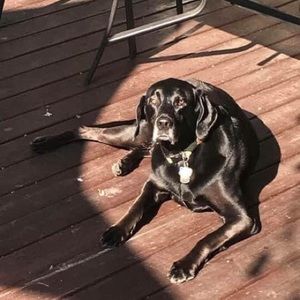 Meet your Posher, Jane